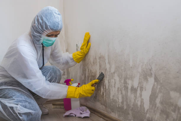 Water Damage Restoration in River Falls, WI